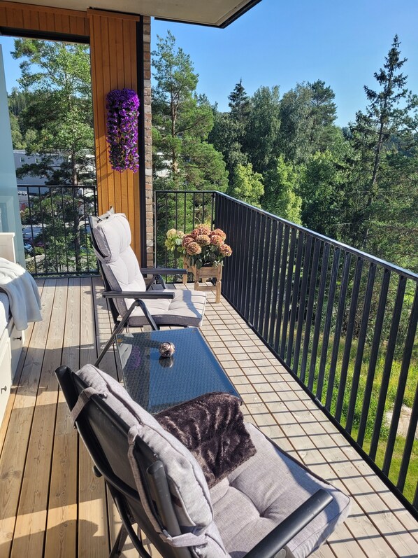 Terrace/patio - Airy and light 2 bedroom apartment with WiFi in Akershus (Akershus)