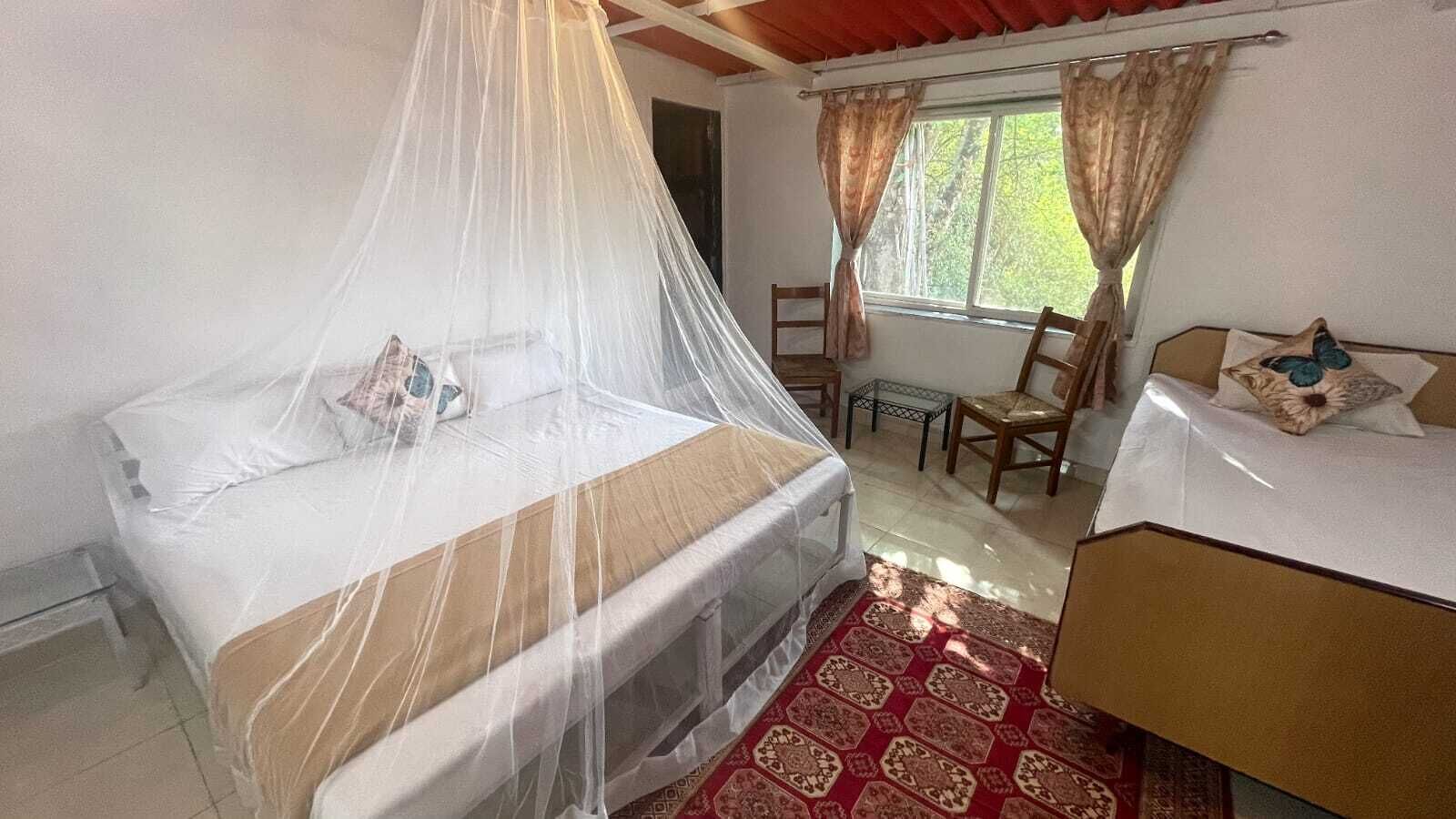 A room with a bed covered by a mosquito net, a smaller bed, a chair, a table, and a window with curtains.