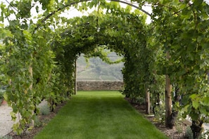 Autumn, Garden, Spring, Summer