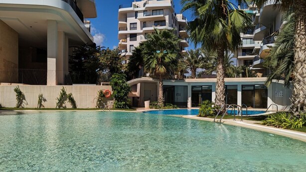 Ein Swimmingpool, umgeben von Palmen und modernen Gebäuden.