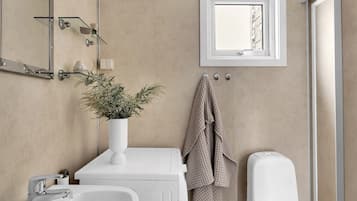 Apartment | Bathroom | Shower, towels, toilet paper