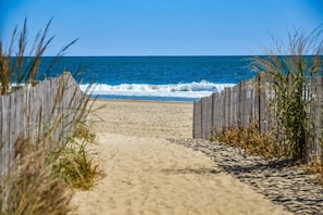 On the beach
