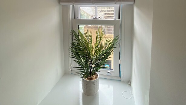 Ein Eckfenster mit einer Topfpflanze.