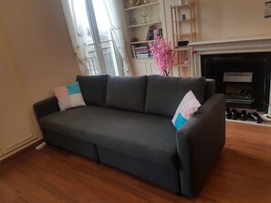 TV connectée, cheminée, livres