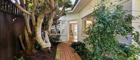 Un sendero de ladrillo que conduce a una casa con un árbol grande y una cerca a la izquierda.