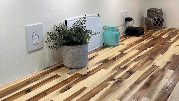 A kitchen with light blue cabinets, a wooden countertop, a potted plant, a jar, and a decorative owl.
