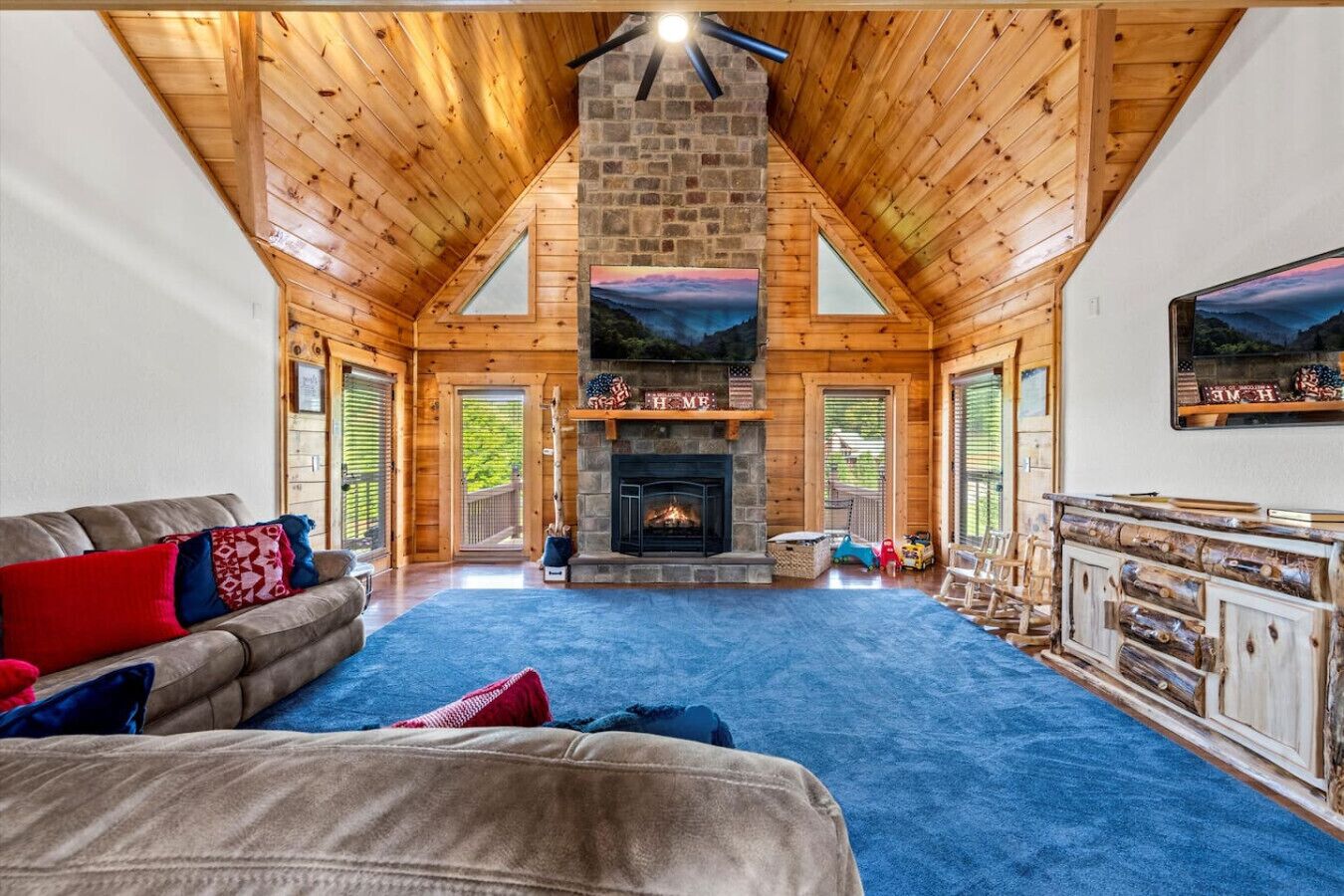 TV, fireplace, books