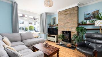 Älytelevisio, takka, kirjoja, stereot