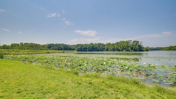 Un río con lirios acuáticos y una orilla cubierta de hierba.