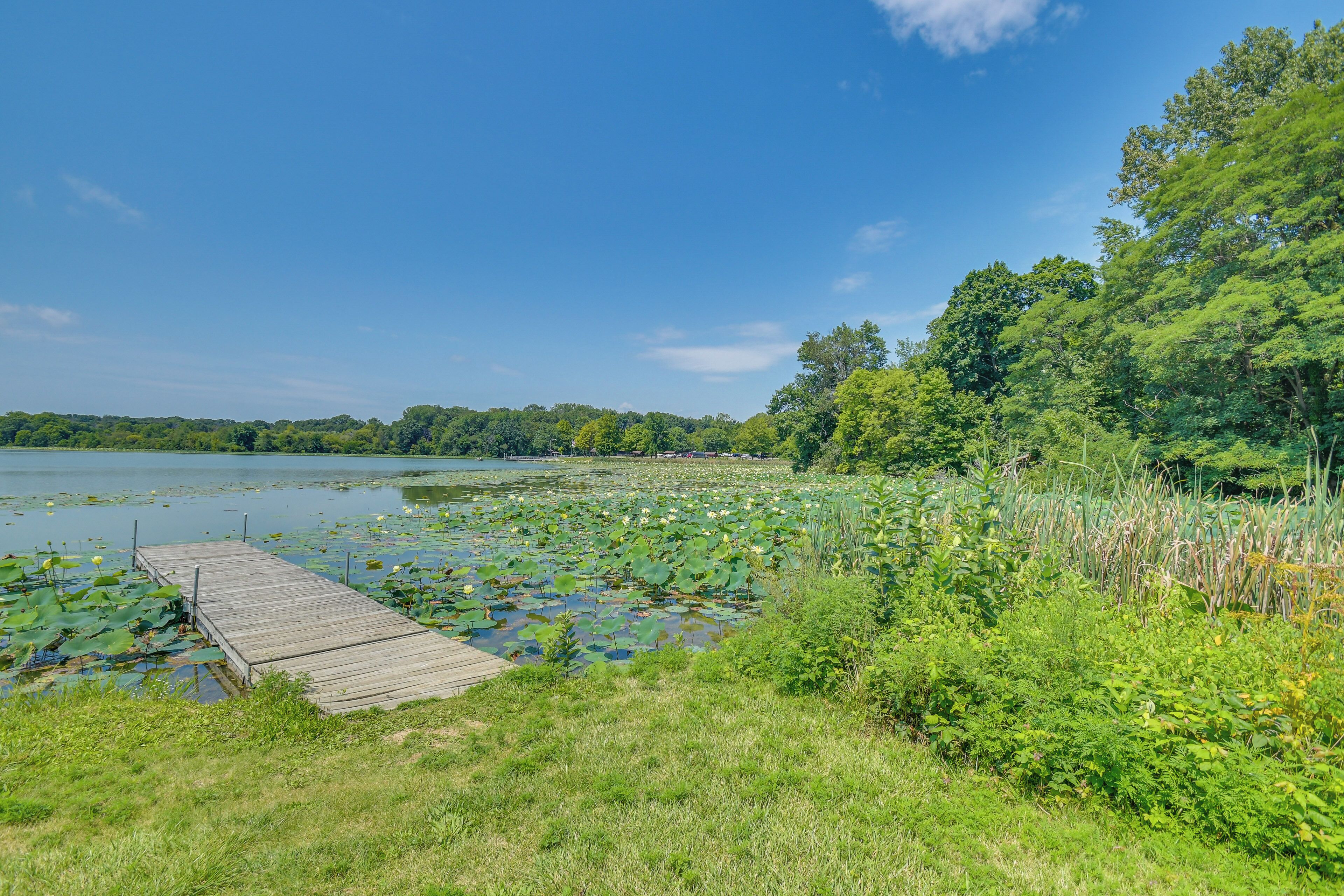 Une jetée en bois s’étendant dans un lac, entouré d’une végétation luxuriante et d’arbres.