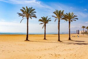 Une plage de sable avec des palmiers et un ciel dégagé.