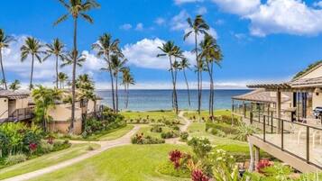 Condo, 1 chambre | Terrain de l’hébergement