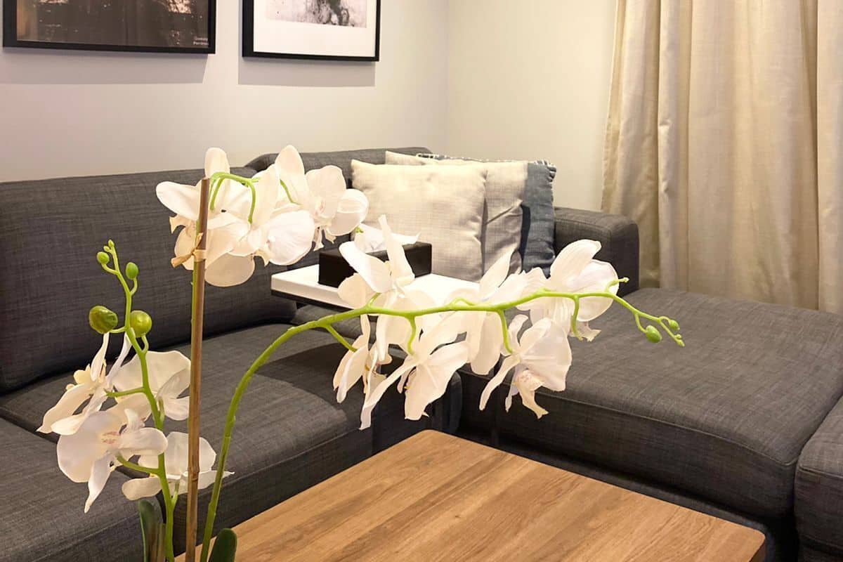 A modern living room with a grey sofa, a wooden coffee table, and white orchids. There are two framed pictures on the wall.