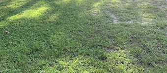 Private RV LOT available in enchanting Zephyrhills with WiFi access