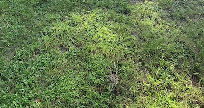 Private RV LOT available in enchanting Zephyrhills with WiFi access