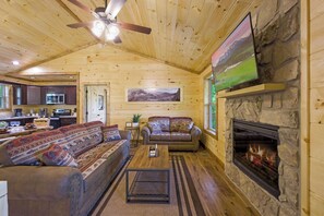 TV, fireplace, video games, offices