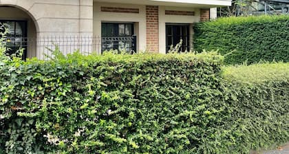 Charmant T2 en hyper centre refait Ă neuf