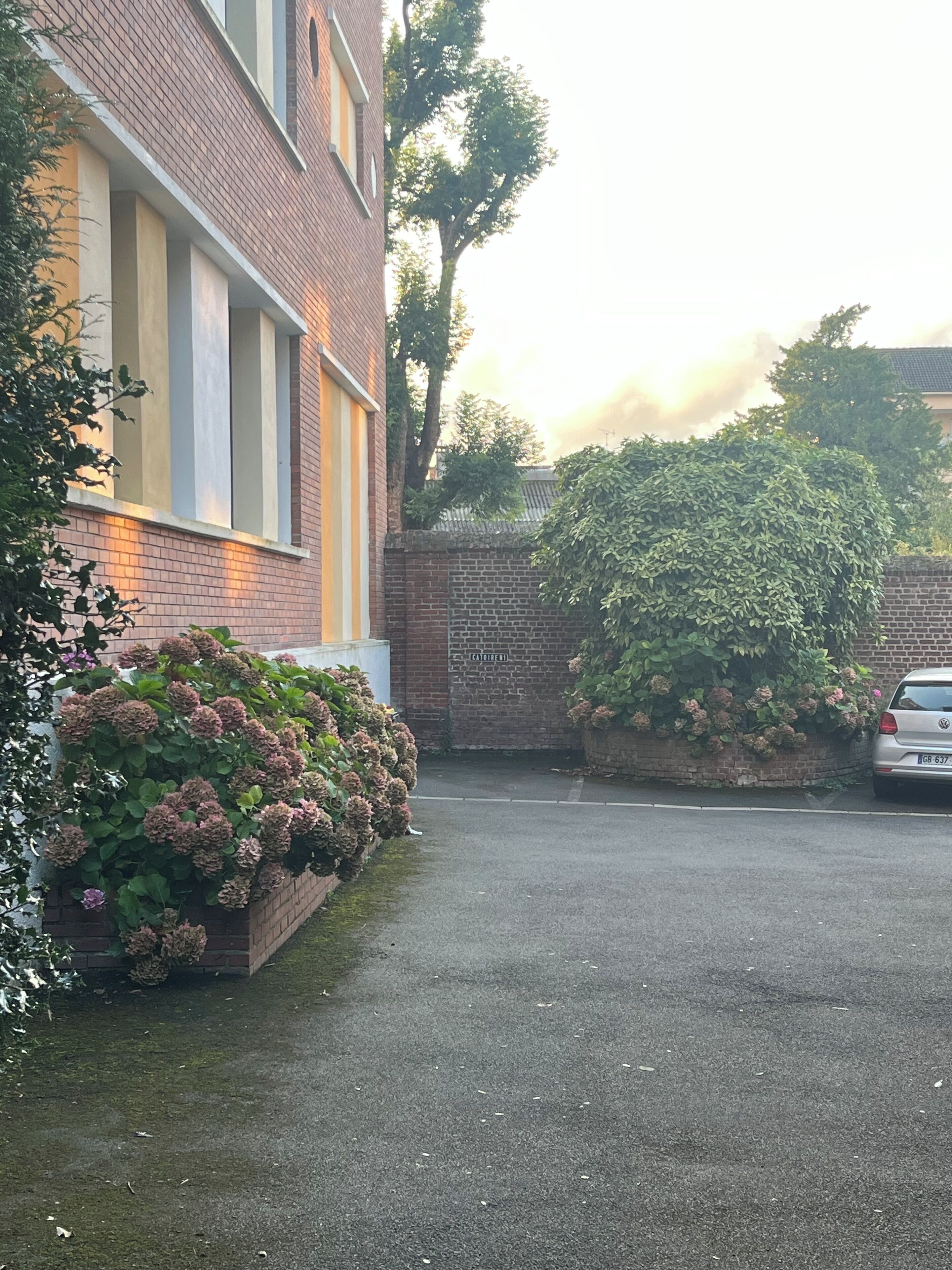Una calle residencial con una casa de ladrillo, un coche aparcado al lado y un seto con flores rosadas.