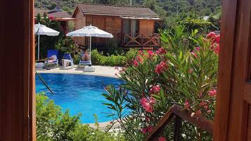 واي فاي مجانًا وملاءات أسرّة