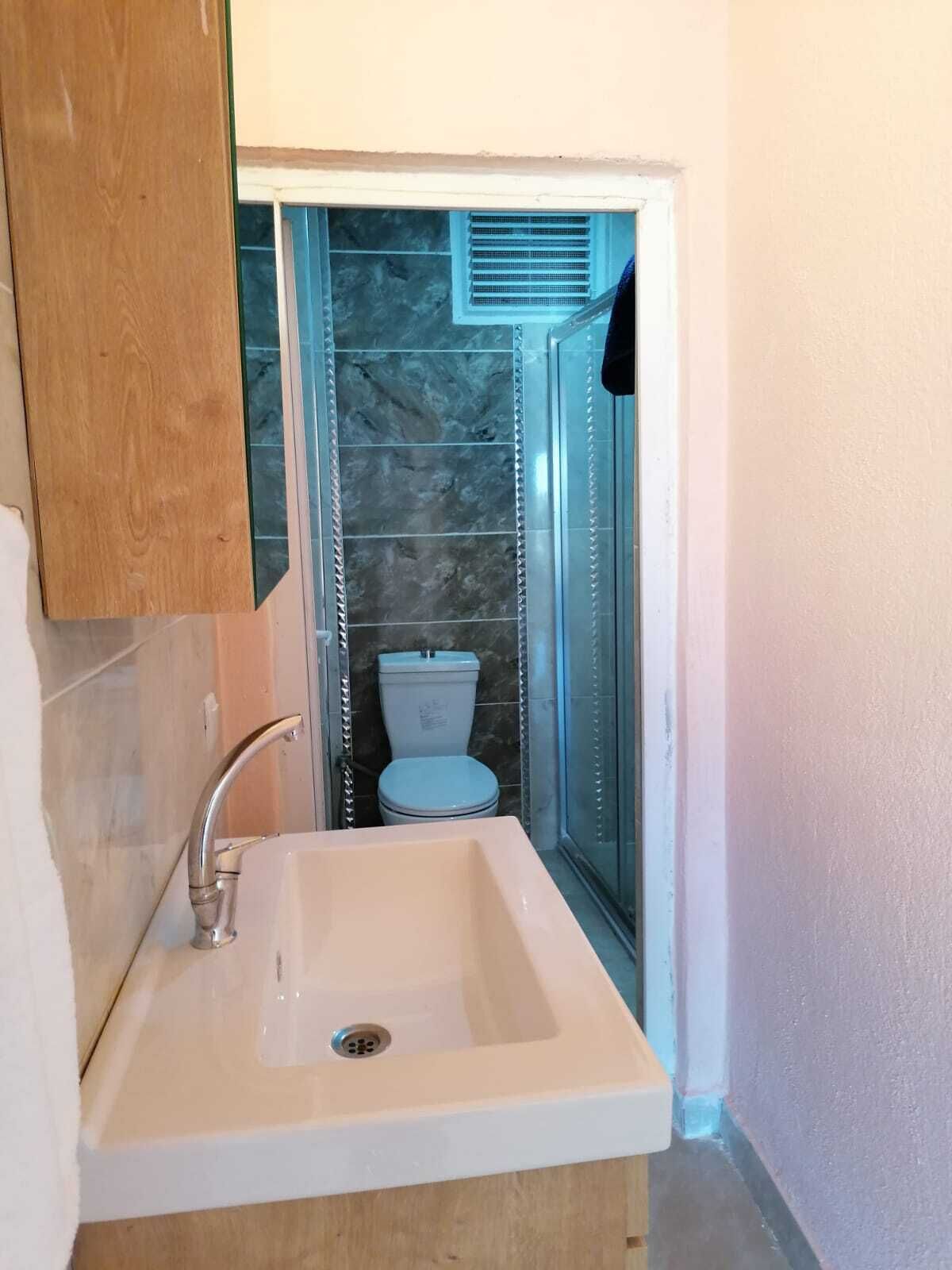 A bathroom with a white sink, a toilet, and a shower enclosure.
