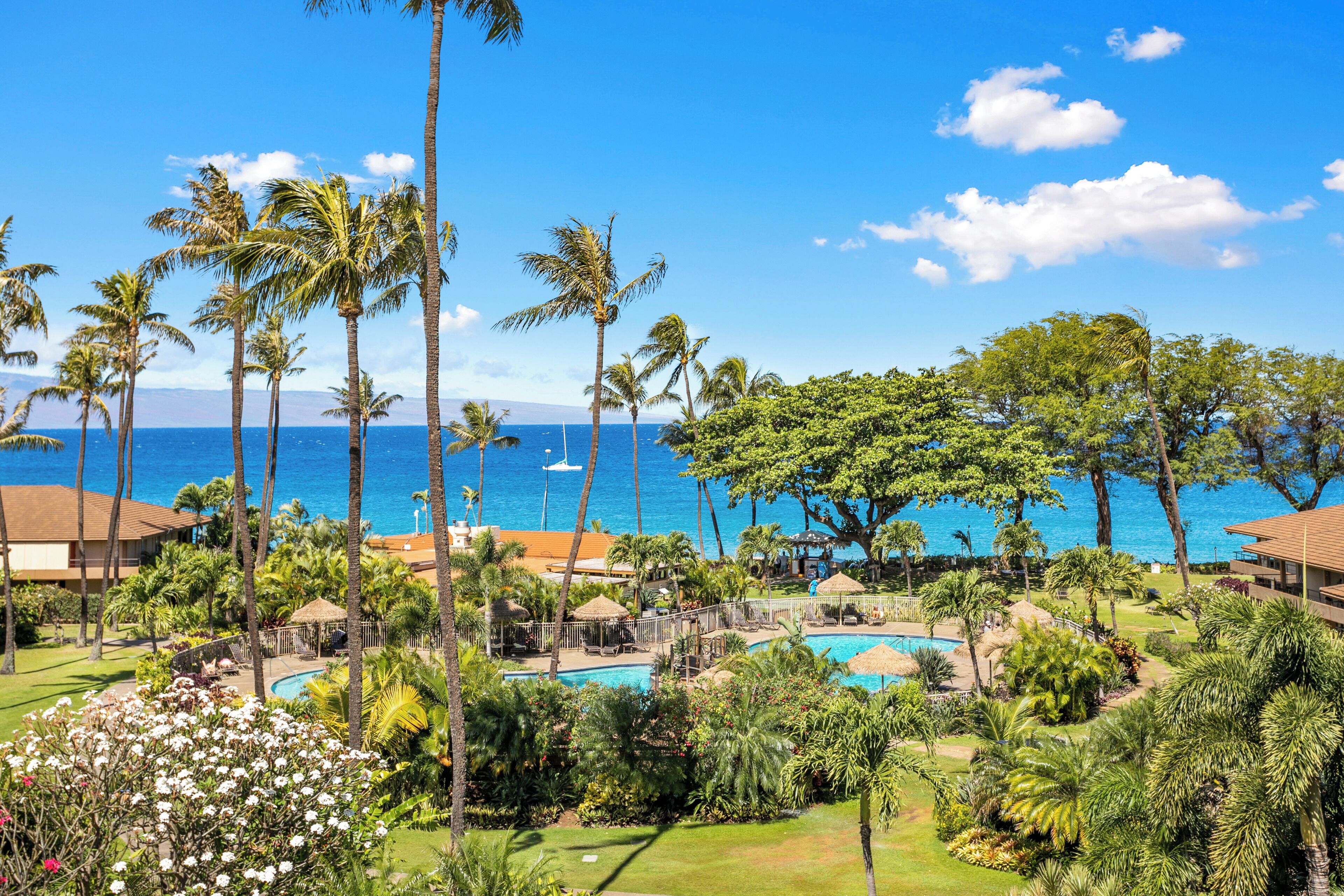 A resort with a pool, palm trees, and a view of the ocean.