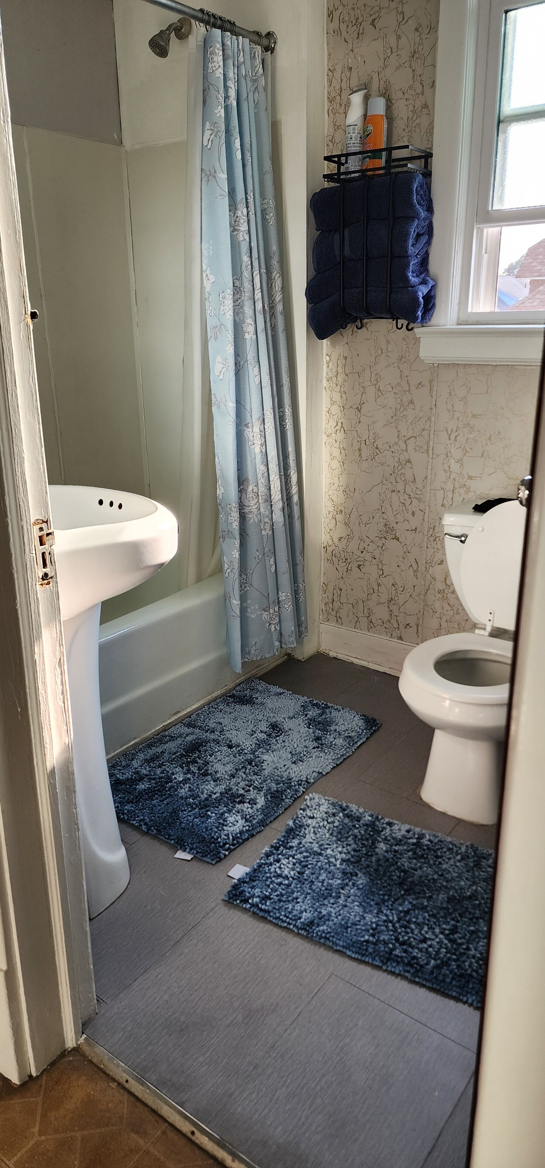 Towels, soap, shampoo, toilet paper