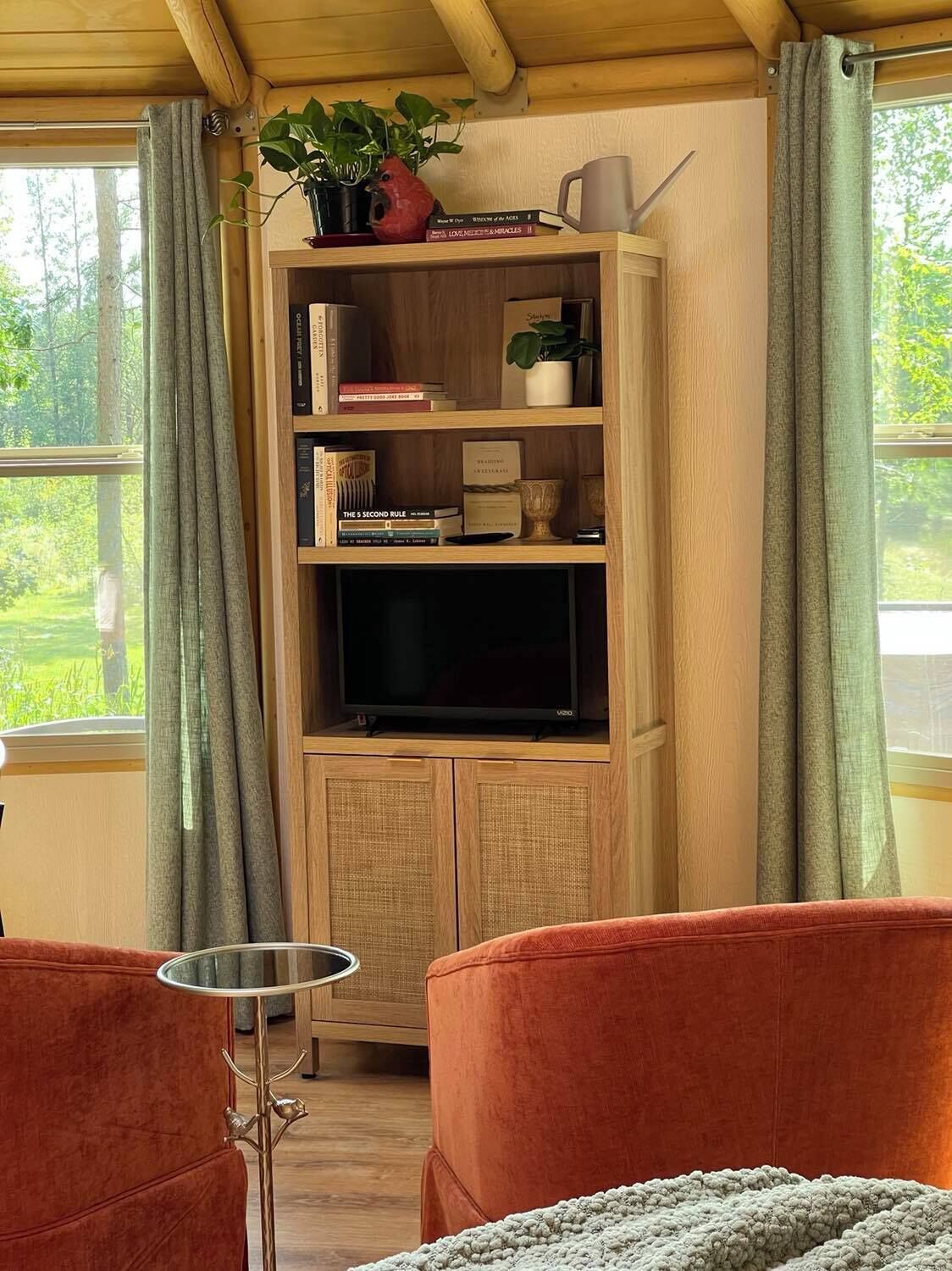 TV connectée, cheminée, livres