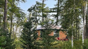 A building surrounded by dense forest and tall trees. - Romantic Hot Tub Get-a-way! (Coleraine)
