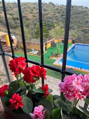 Property grounds - Cortijo Rural Lagar Grande (Málaga)
