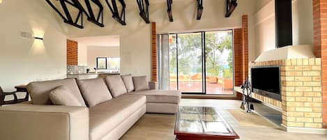 TV, fireplace