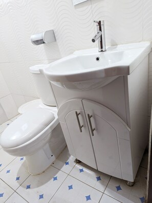 Ducha, toallas y papel higiénico