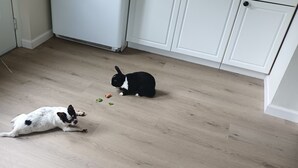 Innvendig