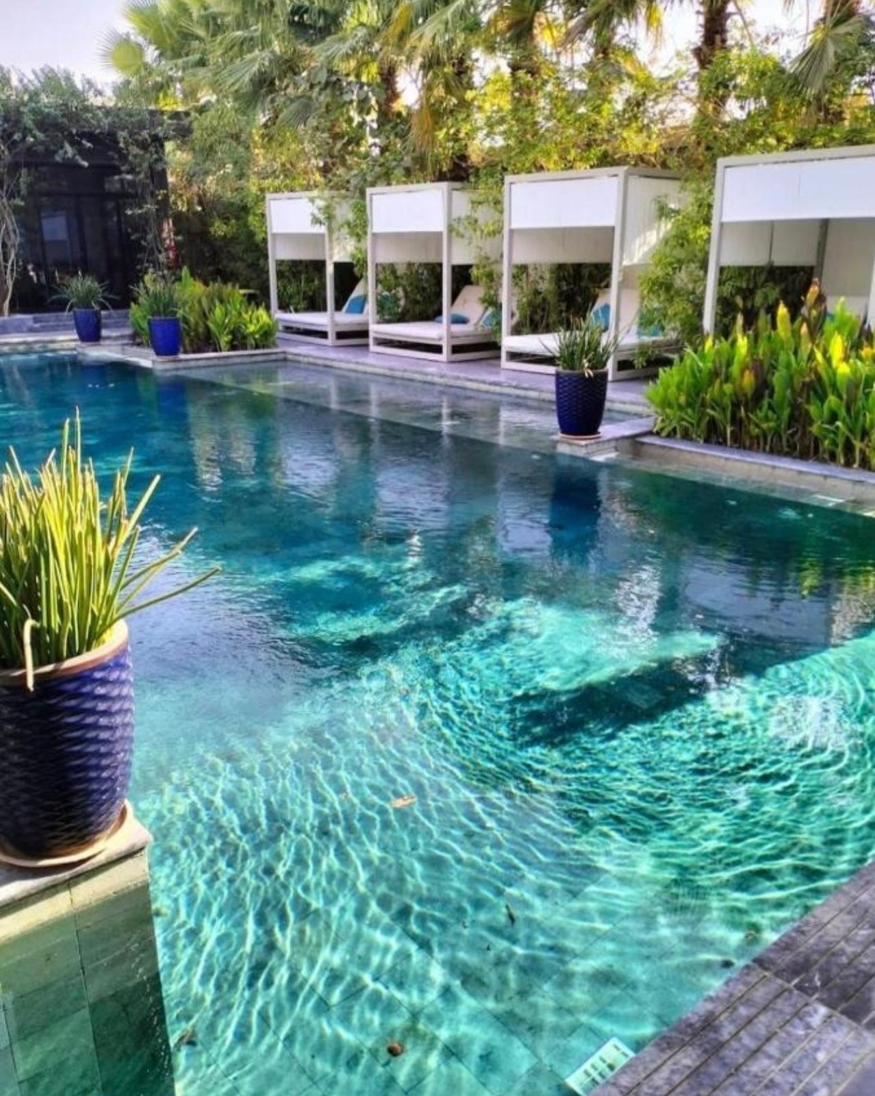 Piscina cristalina con sillas de descanso y plantas en macetas a lo largo del borde.