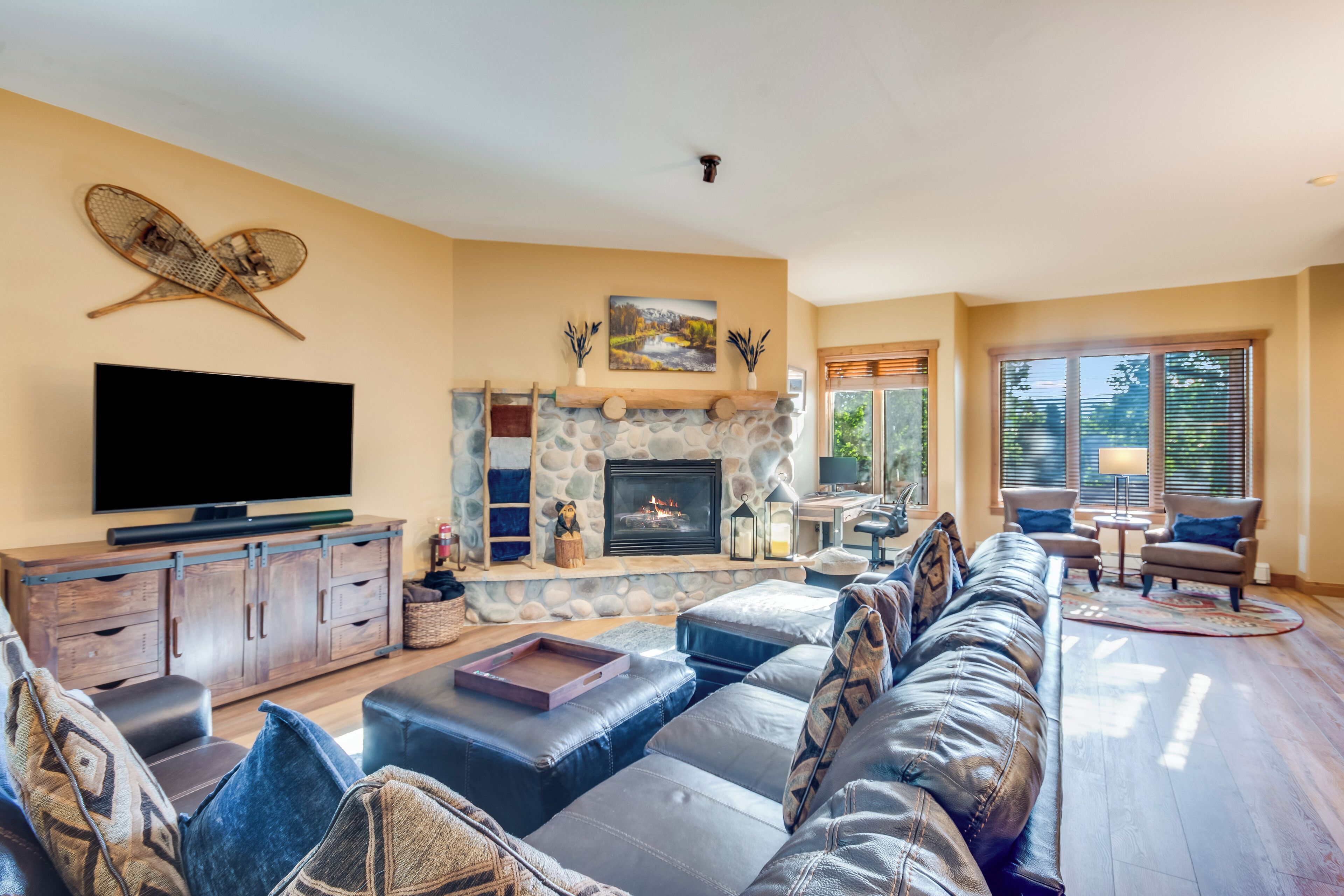 Smart TV, fireplace, DVD player, books