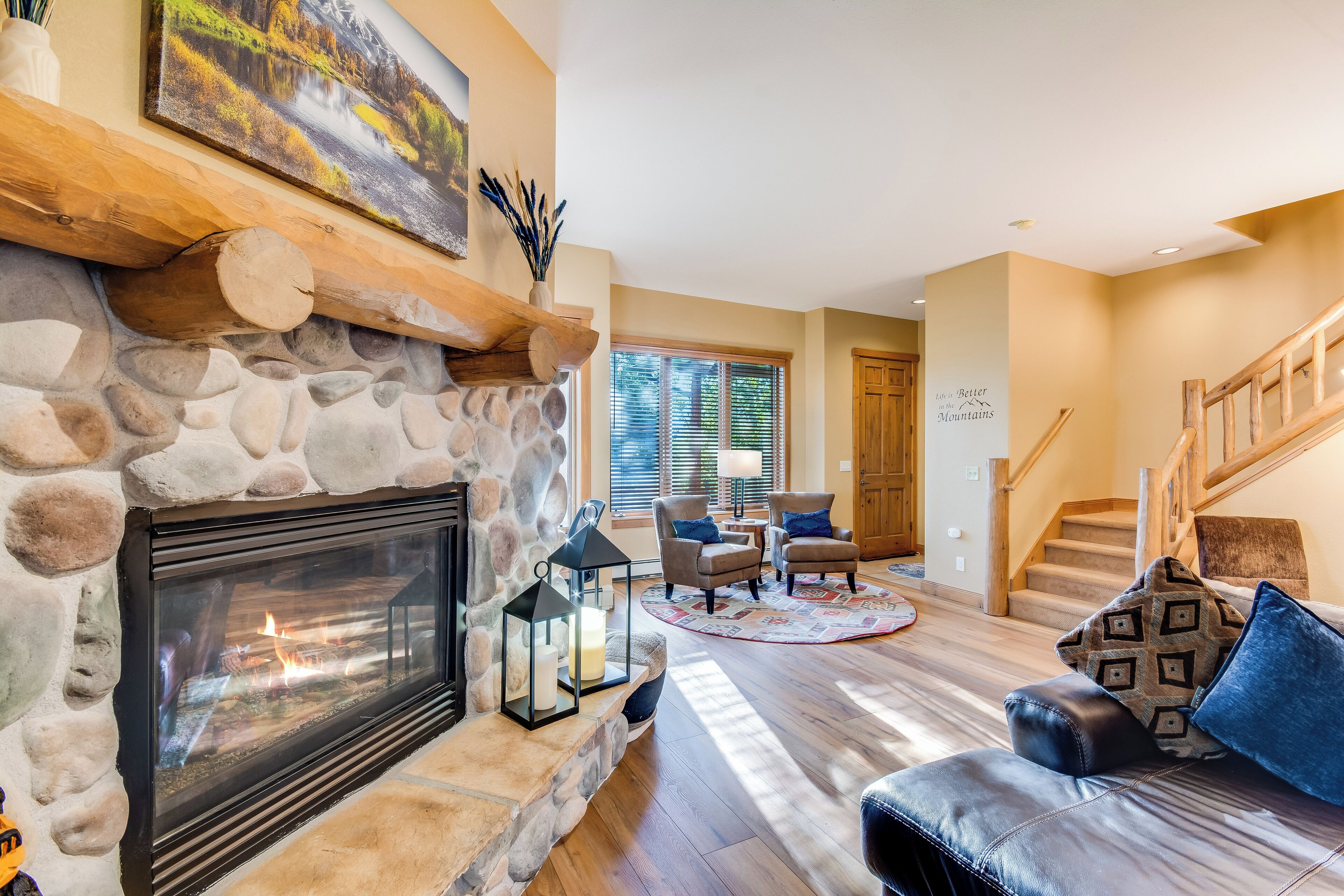 智能电视、壁炉、DVD 播放器、书