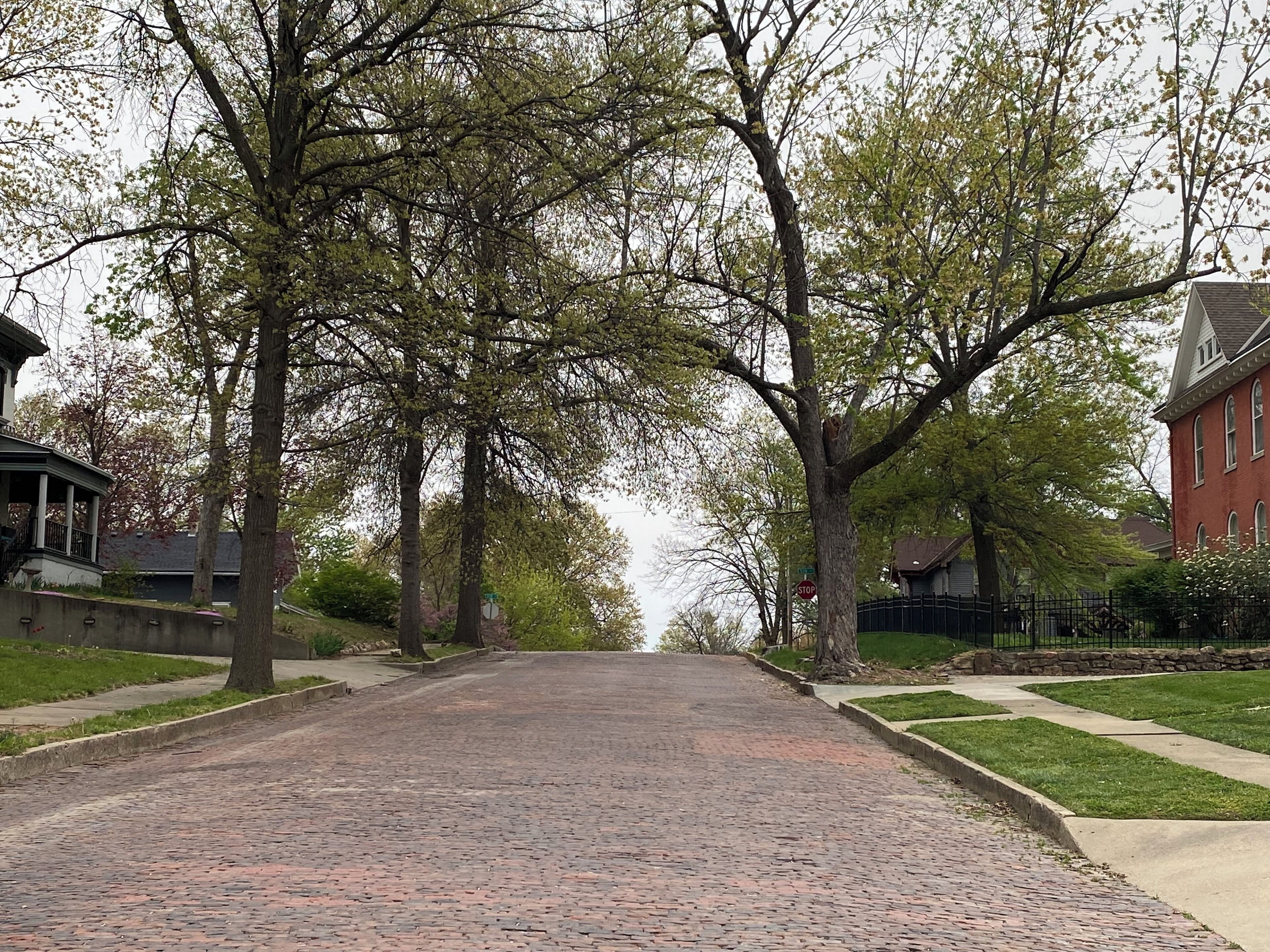 A brick-paved street lined with trees and residential houses.