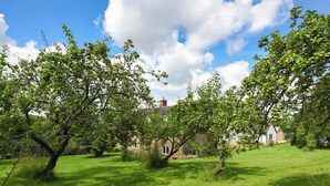 A lush green lawn with mature trees and a brick house in the background. - The Lodge at Harvest Farm (Ludlow)