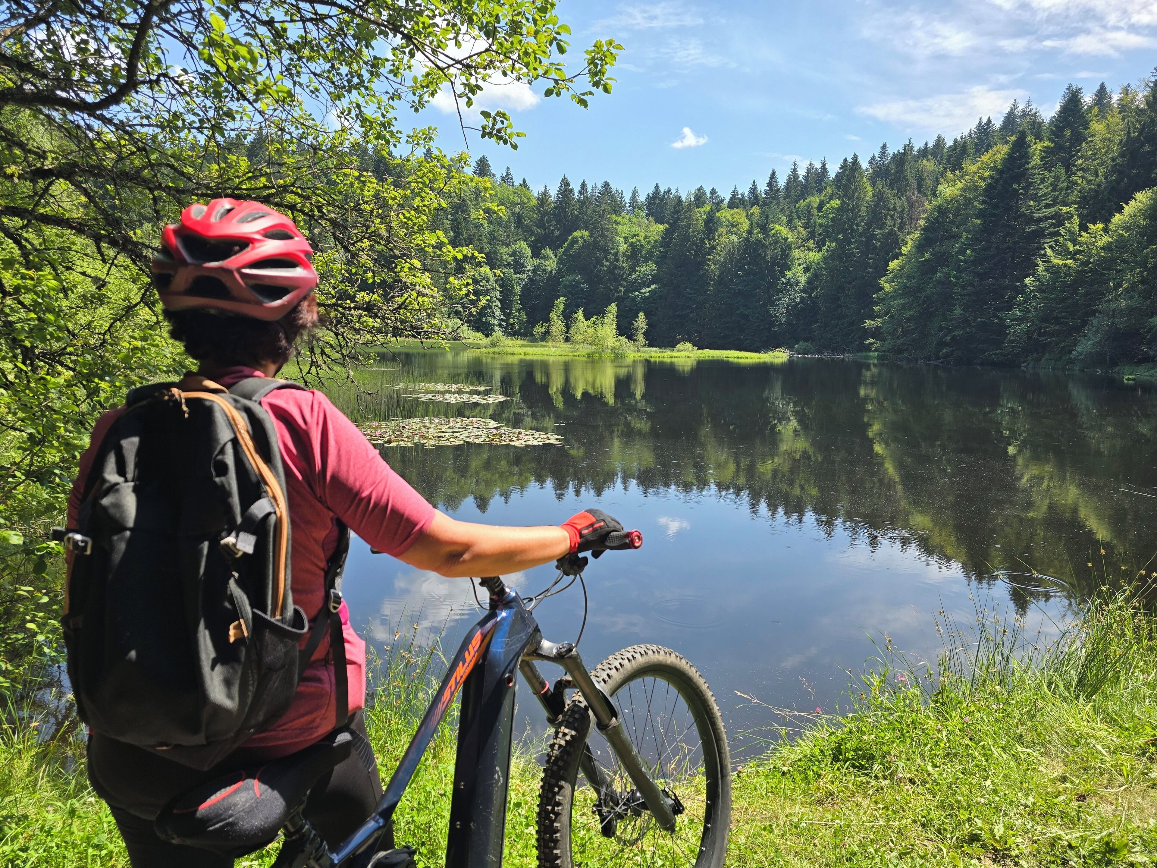 Iemand met een fiets en rugzak bij een rustig meer, omringd door dicht bos.