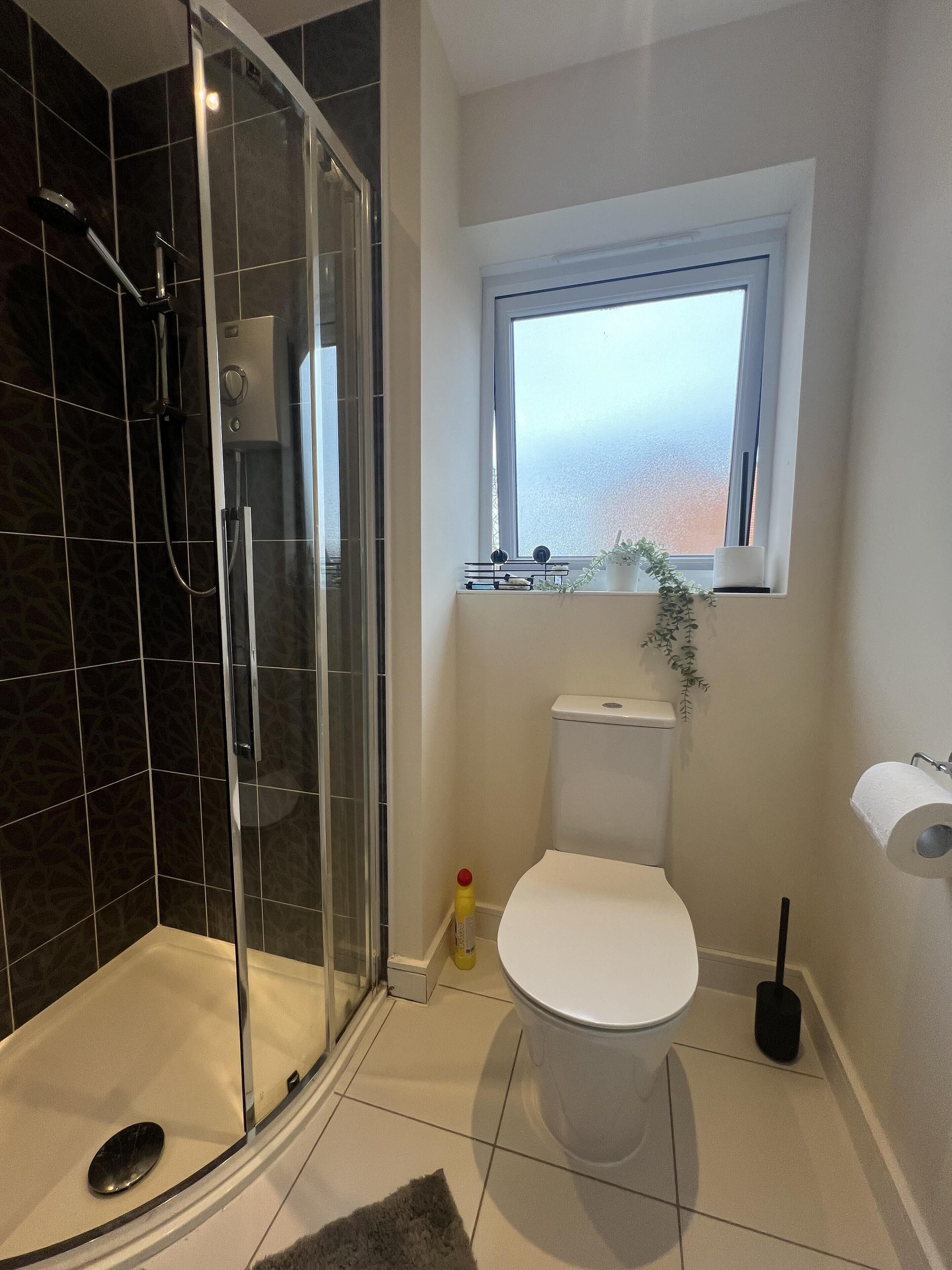 A bathroom with a glass shower enclosure, a toilet, a window, and a small shelf with plants.