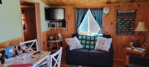 TV, DVD player, video library