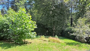 Een tuin met verschillende bomen en een gazon.