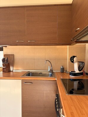 Fridge, microwave, oven, dishwasher - Ground floor apartment Aüt 1 with private garden in Vall de Boí (Caldes de Boi)