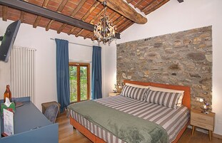 Deluxe Double or Twin Room, Mountain View | Premium bedding, down comforters, desk, laptop workspace