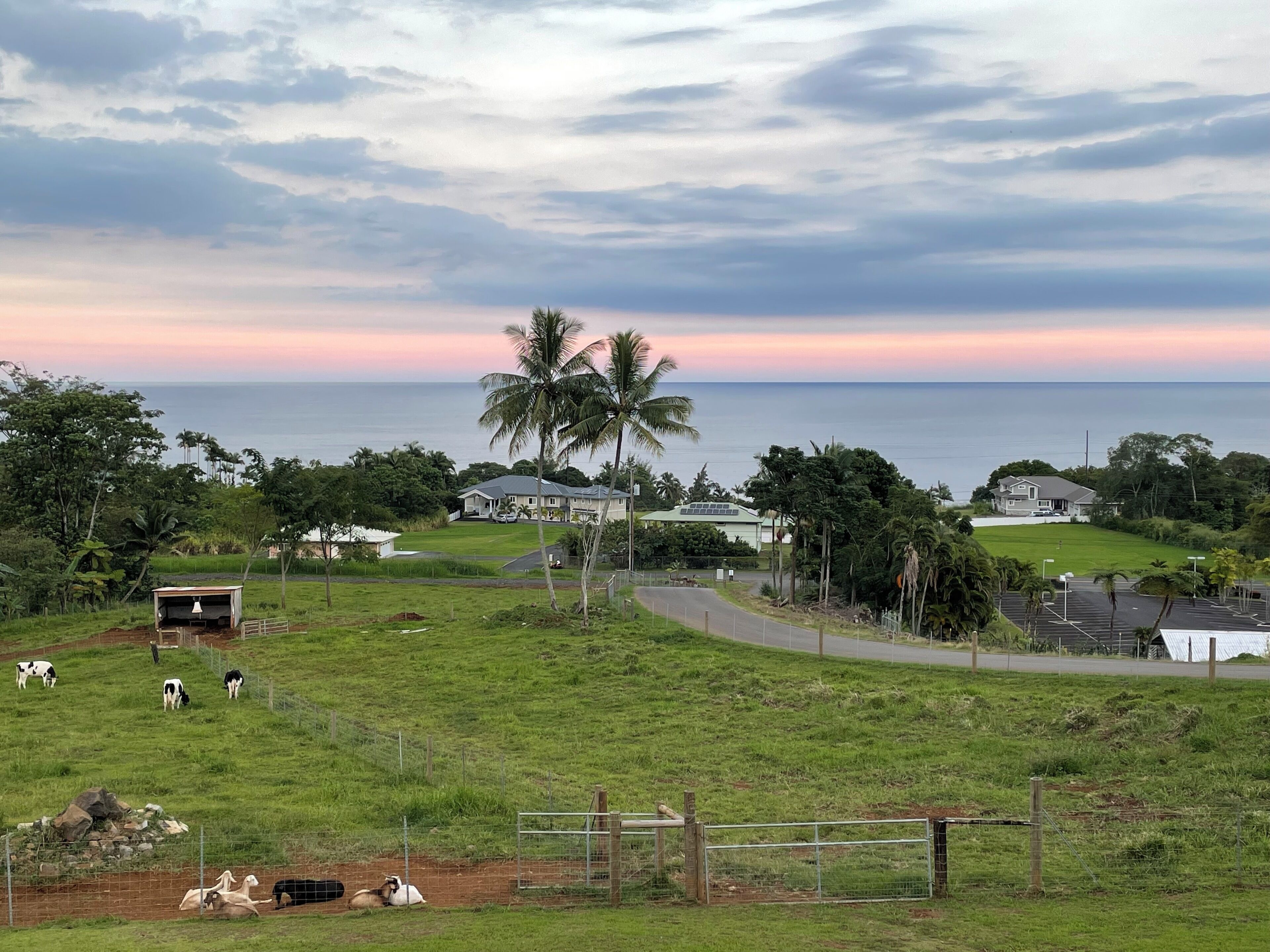 A rural landscape with a road, a fenced area with cows, and houses with a view of the ocean at sunset.