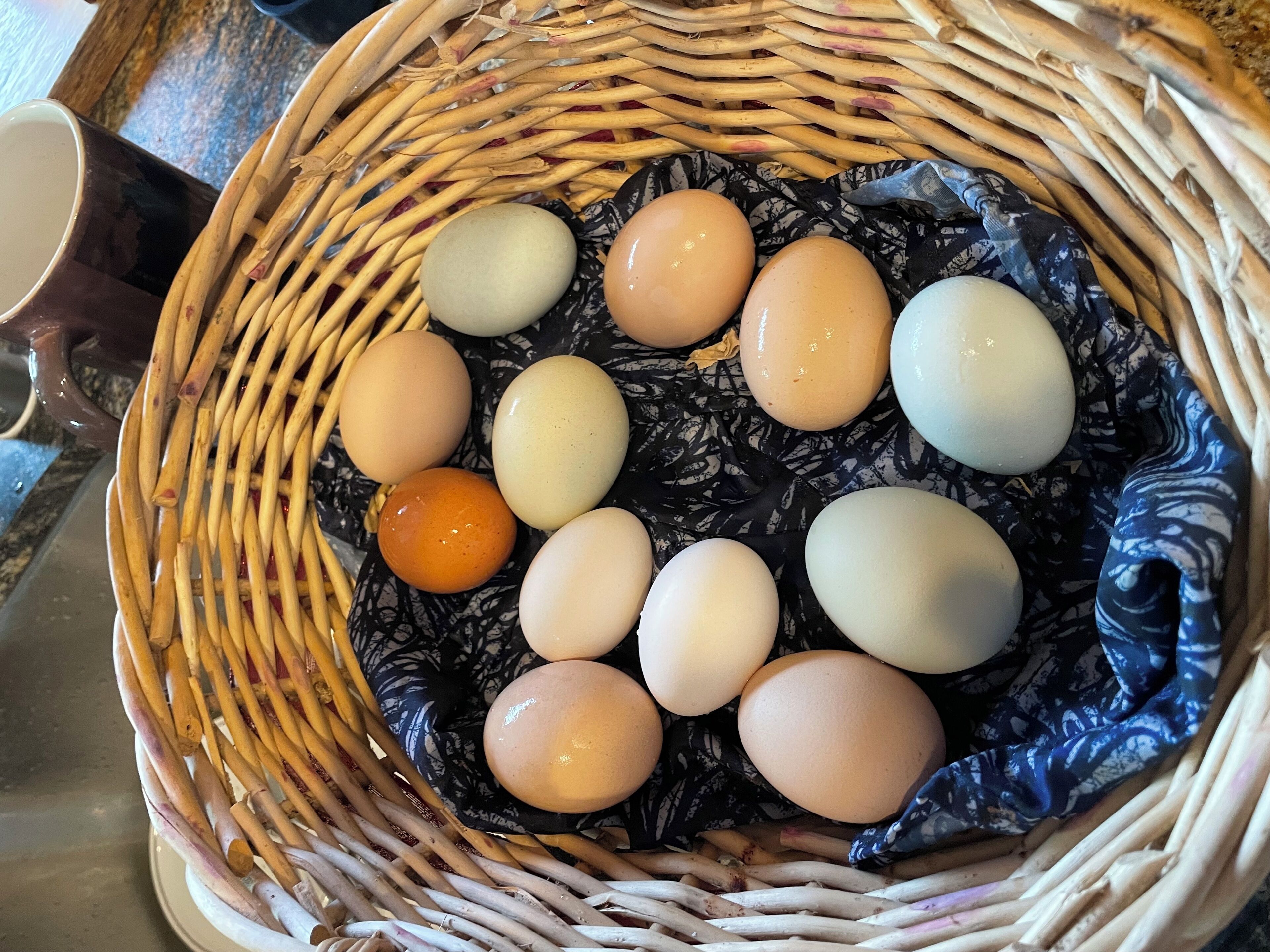Un panier en osier contenant des œufs.