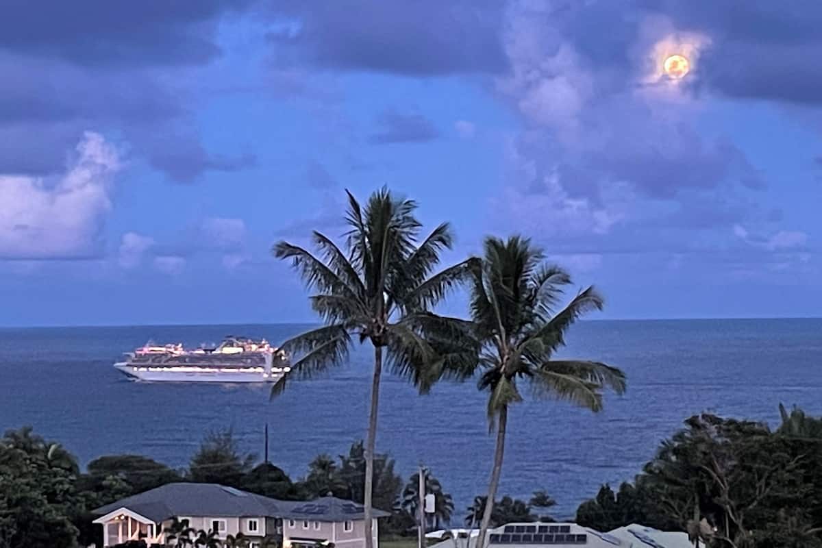 A coastal scene with a cruise ship in the distance, palm trees, and a house with a dark roof.