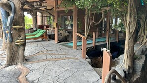 Un espace de détente intérieur doté d’un sol en pierre, de structures en bois évoquant des arbres et d’une petite piscine.