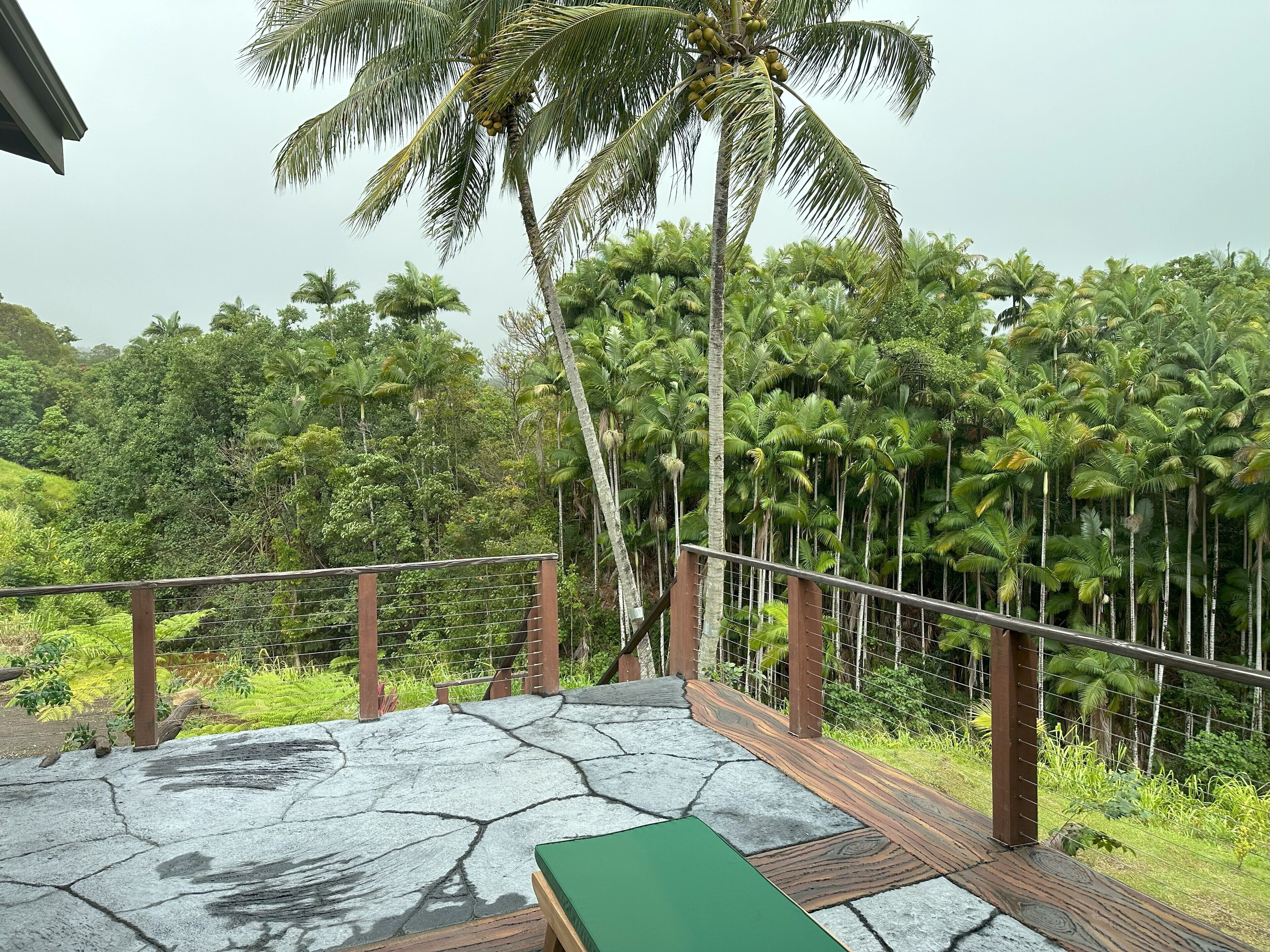 View from room