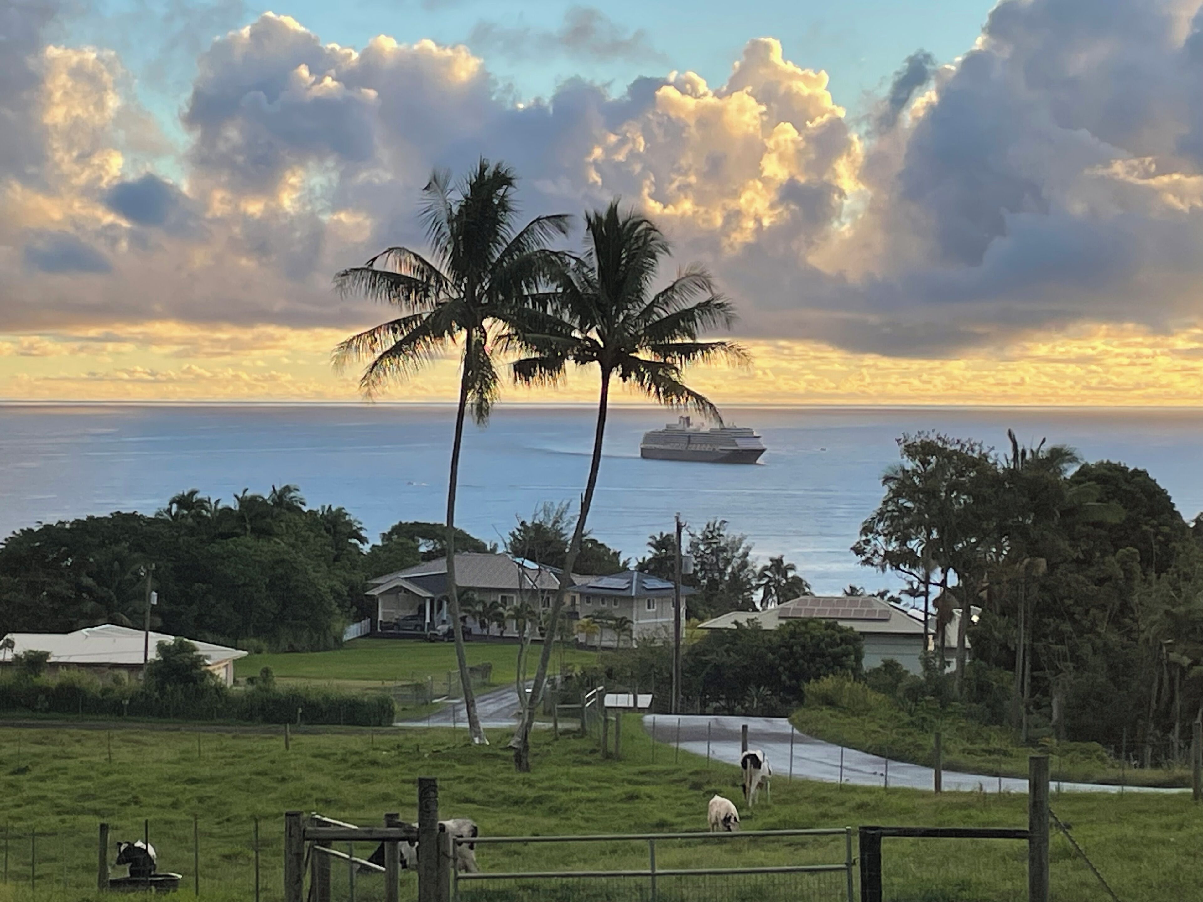 View from property