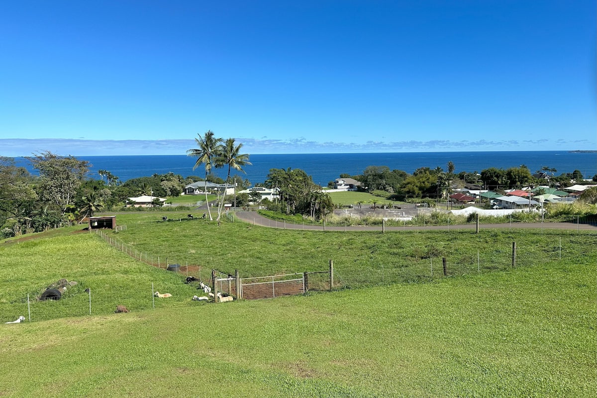 A coastal village with houses, a fenced area with grazing animals, and a clear view of the ocean.